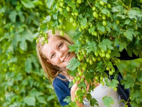 Zwettler Bierweg, &copy; Waldviertel Tourismus, Studio Kerschbaum
