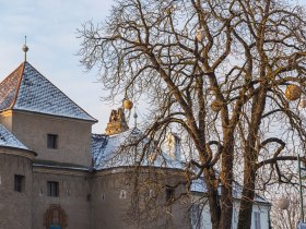 R&iacute;mska veža v Traismauer so zasneženou strechou a hol&yacute;m stromom v popred&iacute;.