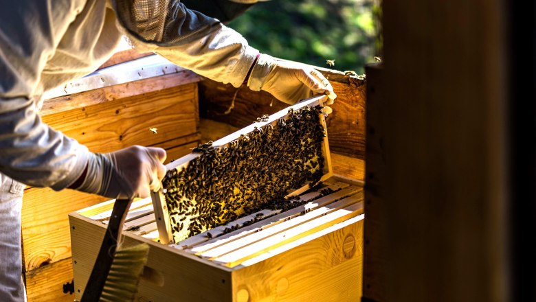 Julia the beekeeper, &copy; Einkehrhof Poggau