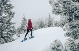 Výlet na snežniciach na Raxe, © Tereza Bokrová