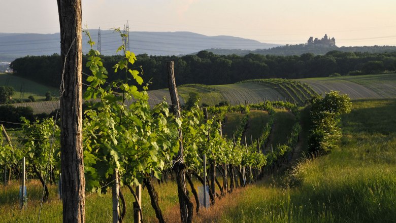 Vinohrady v regióne Weinviertel, hrad Kreuzenstein, © Weinviertel Tourismus/Mandl