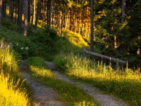 Wandern am Alpannonia Weitwanderweg, &copy; Wiener Alpen in Nieder&ouml;sterreich - Alpannonia
