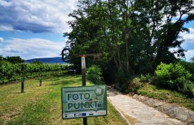 Hidden wine cellar lane Seitweg, &copy; Weinstra&szlig;e Weinviertel