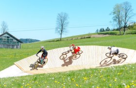 Cyklopark Königsberg, © Wolfgang Wutzl