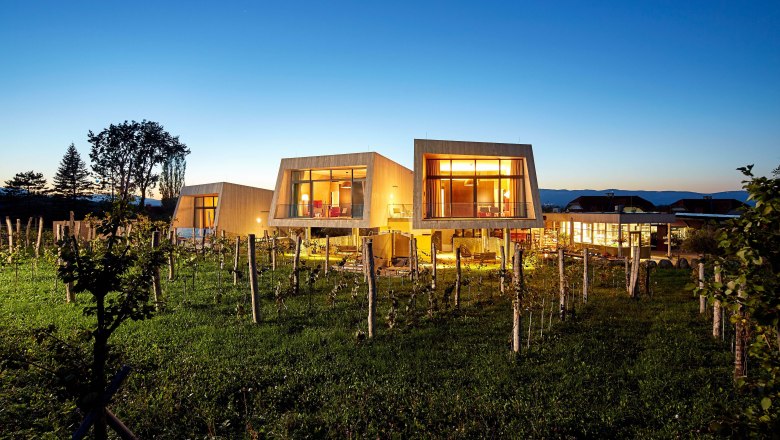 Moderné záhradné lofty v Gut Guntrams za súmraku, obklopené viničom.