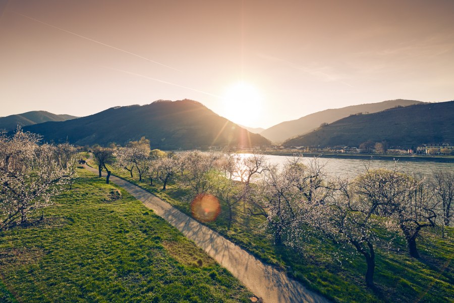 Jar vo Wachau, © Andreas Hofer