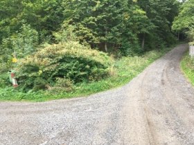 Turistick&yacute; chodn&iacute;k č. 30, duby a sovy, &copy; Gemeinde Allentsteig